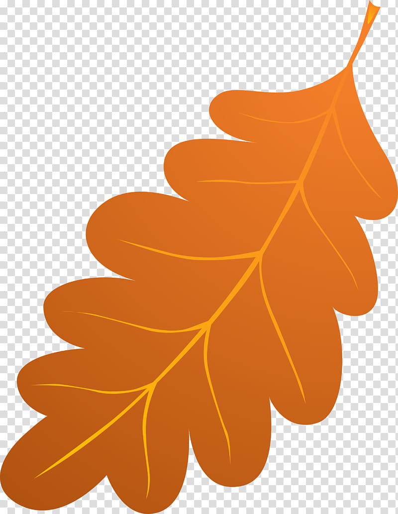 Oak Tree Drawing, Leaf, Visual Arts, Text, Orange, Plant, Line transparent background PNG clipart