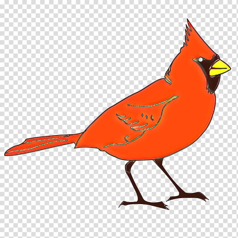 Cardinal Bird, Northern Cardinal, St Louis Cardinals, Cartoon, Drawing, Beak, Feather, Painting transparent background PNG clipart