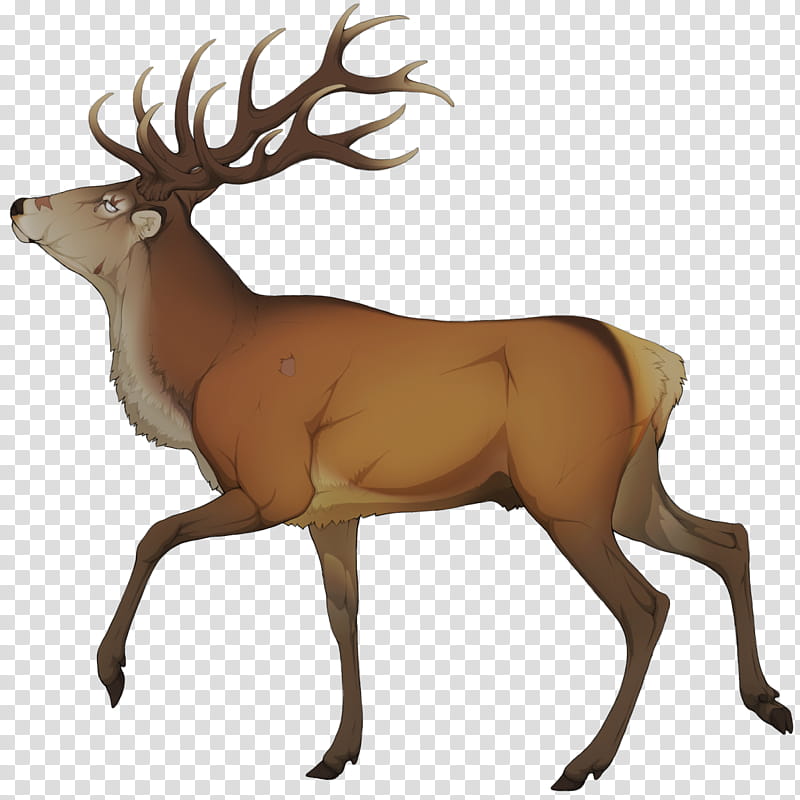 Santa Claus Drawing, Reindeer, Elk, Whitetailed Deer, Moose, Antler, Rudolph, Mask transparent background PNG clipart