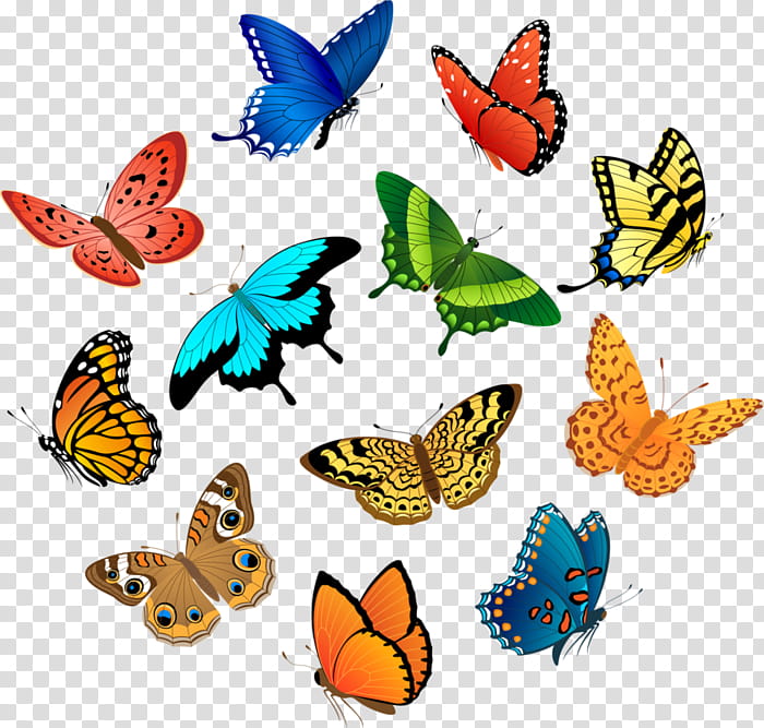Butterfly, Insect, Cynthia Subgenus, Moths And Butterflies, Animal Figure, Pollinator, Brushfooted Butterfly, Lycaenid transparent background PNG clipart