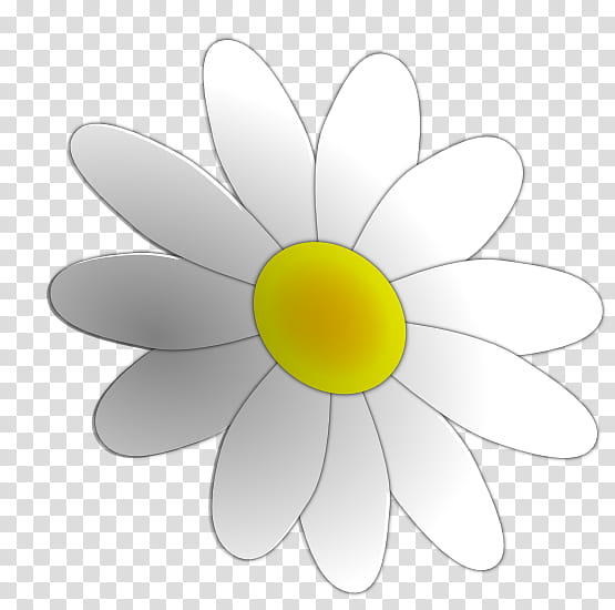 Flower, Giant Panda, Robert W Baird Co, Directory, Petal, Yellow, Chamomile, Daisy transparent background PNG clipart