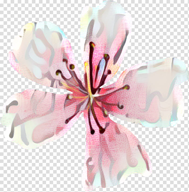 Lily Flower, Cut Flowers, Petal, Pink M, Lily M, Plant, Stargazer Lily, Lily Family transparent background PNG clipart