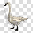 Spore creature Trumpeter swan transparent background PNG clipart