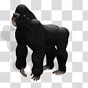 Spore creature Gorilla male transparent background PNG clipart