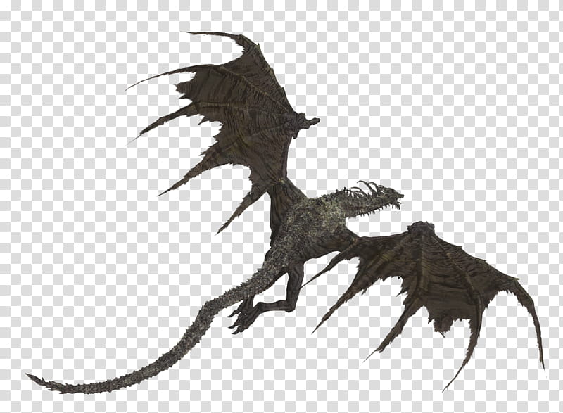 Lotric Wyverns, gray dragon illustration transparent background PNG clipart
