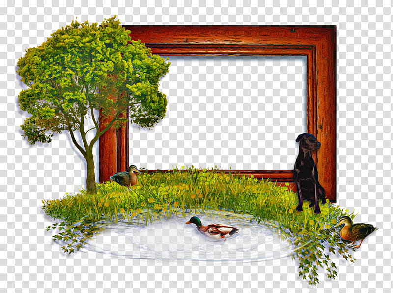 Nature Background Frame, Tree, Frames, Yard, Landscape, Houseplant, Meter, Natural Landscape transparent background PNG clipart