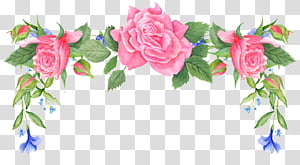 Watercolor Flower, Shabby Chic, Rose, Paint, Watercolor Painting, Picture Frames, Vintage, Garden Roses transparent background PNG clipart thumbnail