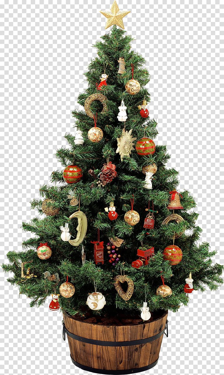 Christmas Tree Animation, Christmas Day, Santa Claus, Christmas Market, Christmas Ornament, Christmas Decoration, Colorado Spruce, Oregon Pine transparent background PNG clipart