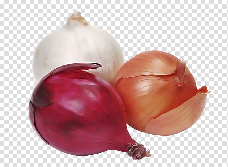 onion vegetable shallot red onion yellow onion, Plant, Food, Allium, Pearl Onion transparent background PNG clipart