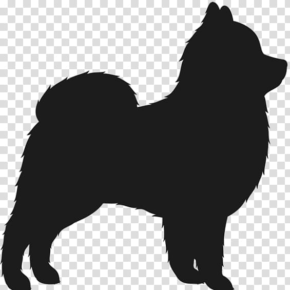 Pomeranian, Finnish Spitz, Chow Chow, Chihuahua, Eurasier, German Spitz, Siberian Husky, Shiba Inu transparent background PNG clipart