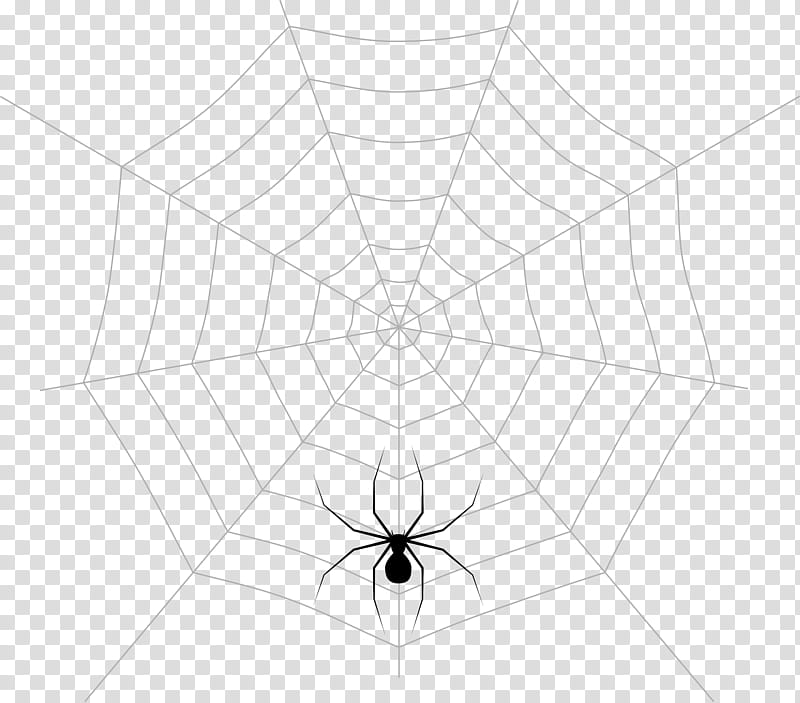 Spider Web, Symmetry, Point, Angle, Line Art, White, Black And White
, Arachnid transparent background PNG clipart