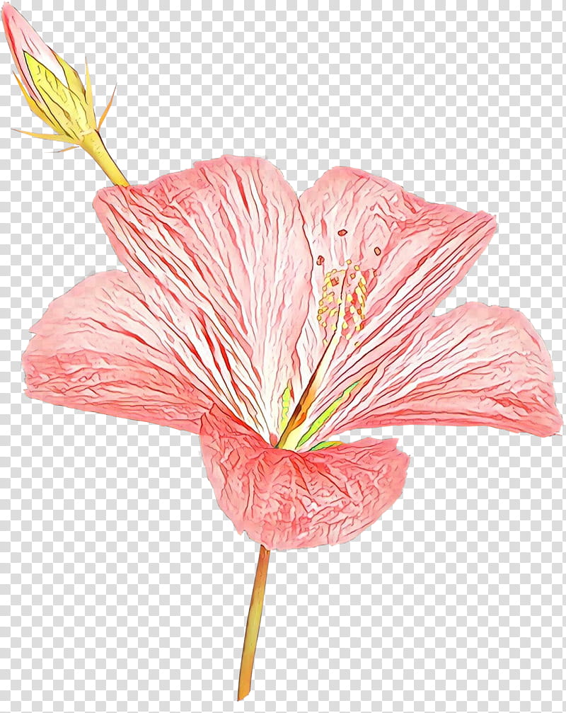 Easter Lily, Flower, Petal, Plants, Cut Flowers, Lily Of The Incas, Shoeblackplant, Cranesbill transparent background PNG clipart