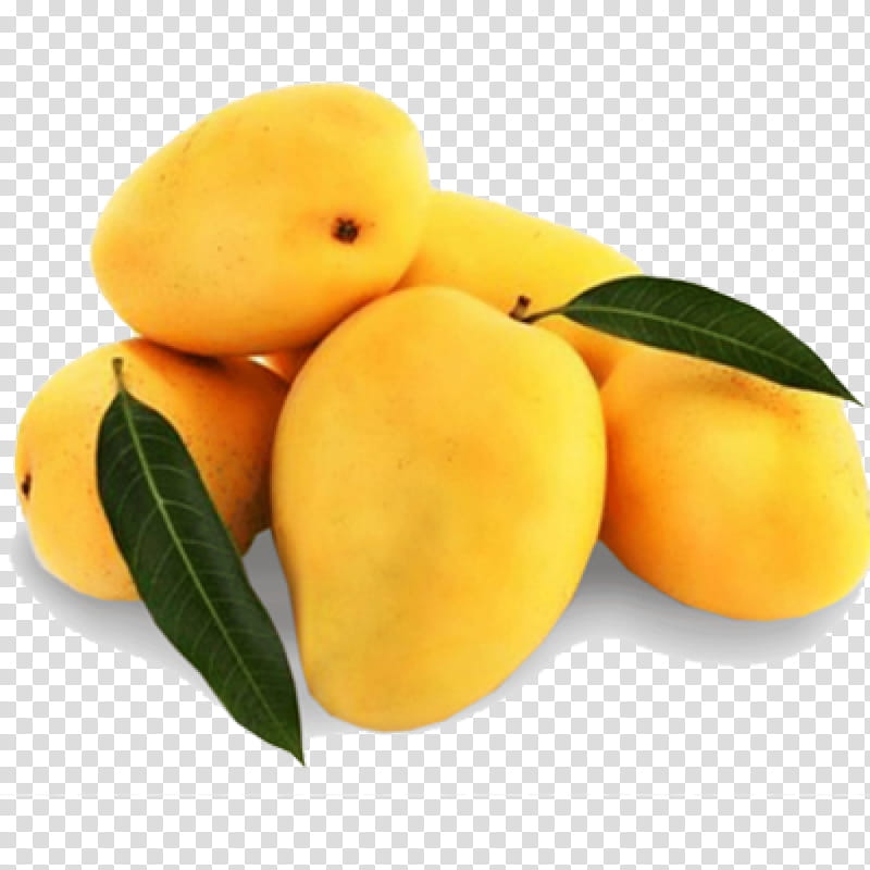 Fresh Juice, Mangifera Indica, Mango, Alphonso, Benishan, Fruit, Fresh Green Mango Set Of 6, Totapuri transparent background PNG clipart