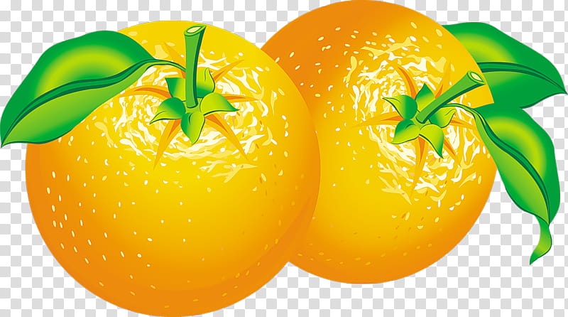 Fresh Juice, Orange Juice, Fresh Oranges, Fruit, Tangerine, Kumquat, Orangelo, Grapefruit transparent background PNG clipart
