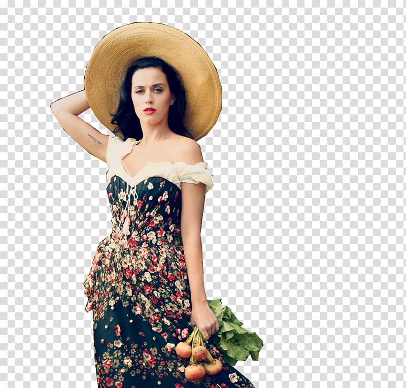 Katy Perry Selin transparent background PNG clipart