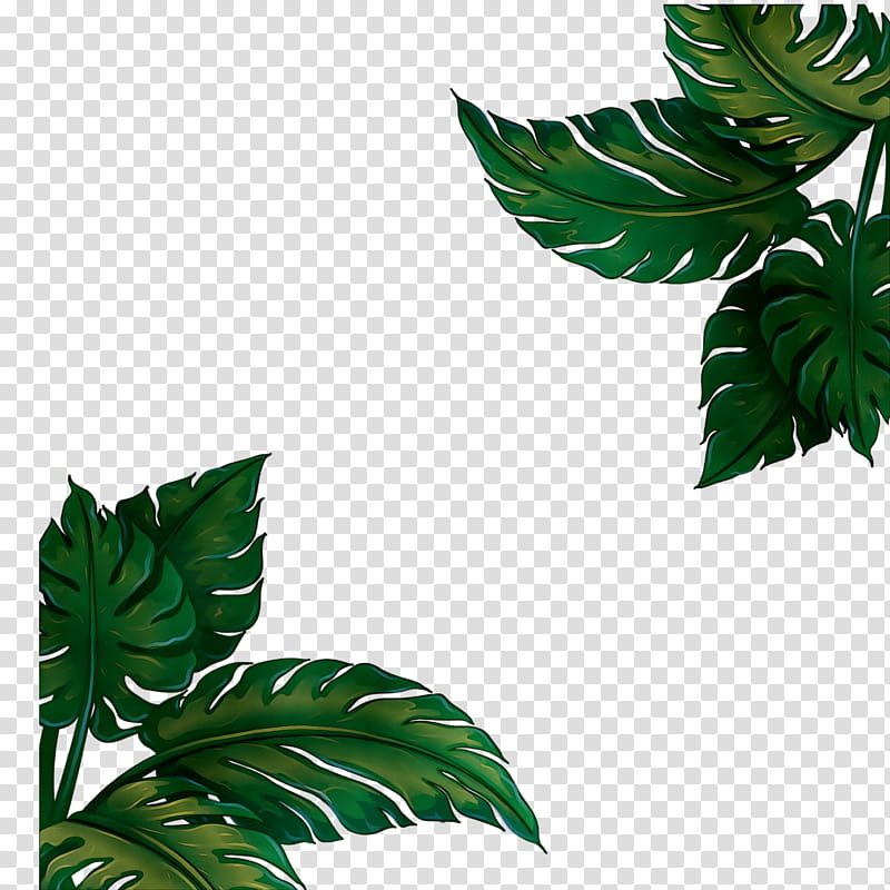Family Tree, Cymbopogon Citratus, Lemon, Clothing, Skirt, Plants, Plant Stem, Color transparent background PNG clipart