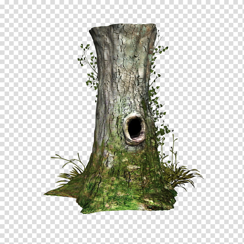 D Tree Stump, brown tree transparent background PNG clipart