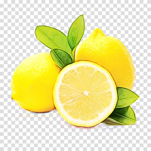 lemon citrus persian lime lime lemon-lime, Watercolor, Paint, Wet Ink, Lemonlime, Yellow, Sweet Lemon, Fruit transparent background PNG clipart