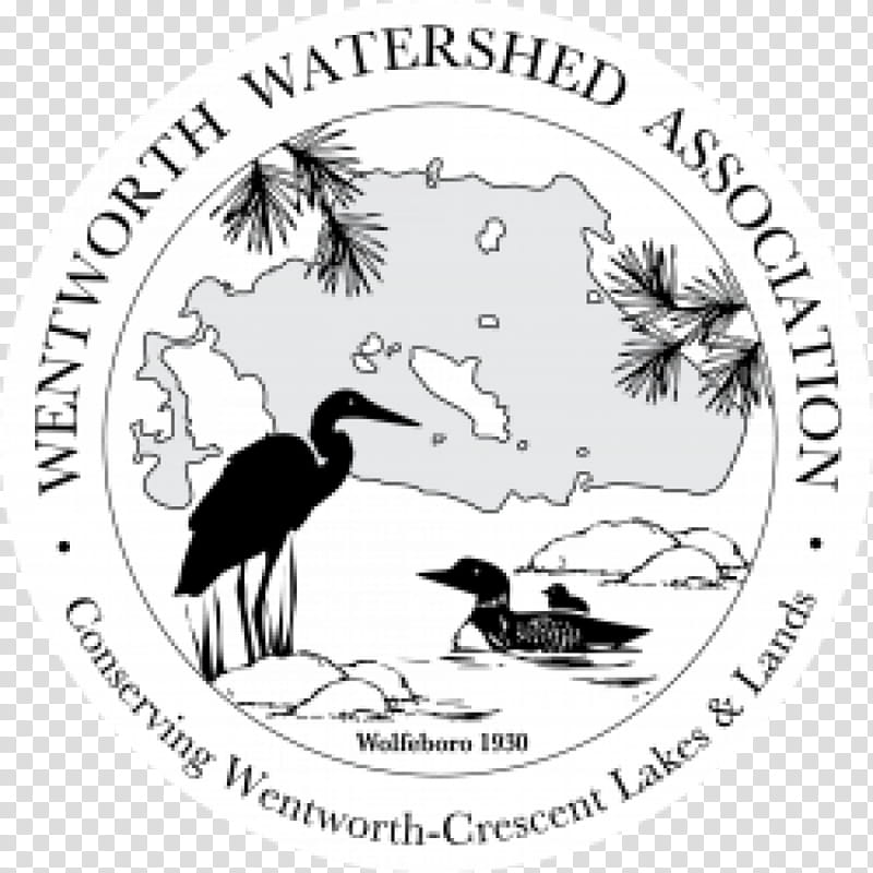 Bird Line Art, Wolfeboro, Wentworth, Beak, England, Wasr, Water, Podcast transparent background PNG clipart