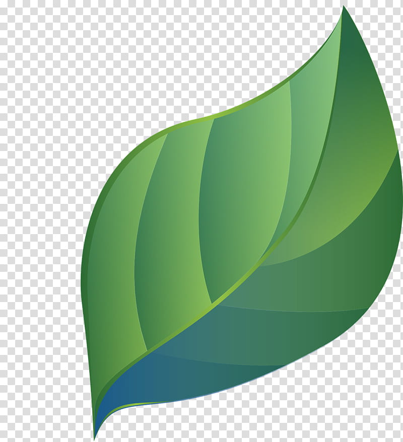 Banana Leaf Logo, Drawing, Blog, 2018, Green, Plant transparent background PNG clipart
