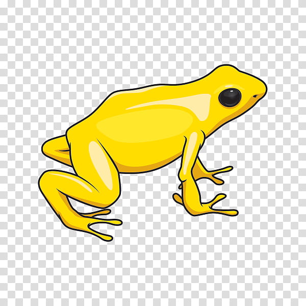 Toad True frog Tree frog, Cartoon, Yellow, Line, Animal, Hyla, Poison Dart Frog, Shrub Frog transparent background PNG clipart