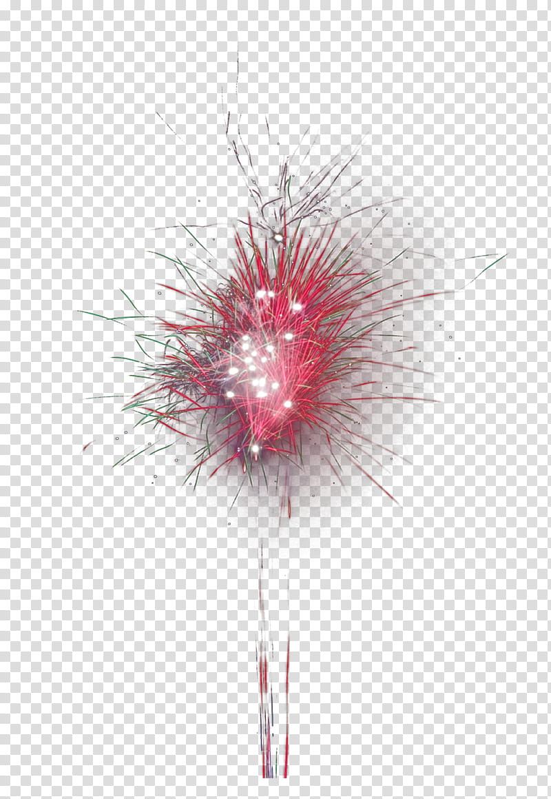 Fireworks Set , pink spark illustration transparent background PNG clipart