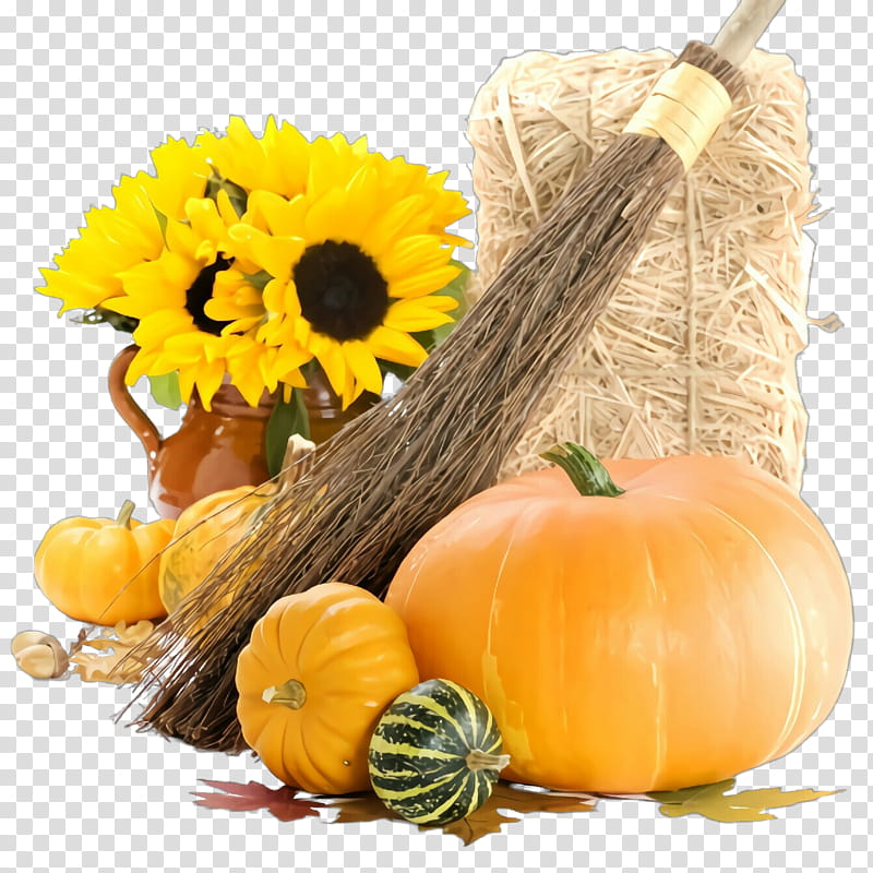 Pumpkin, Natural Foods, Winter Squash, Calabaza, Gourd, Yellow, Cucurbita, Plant transparent background PNG clipart