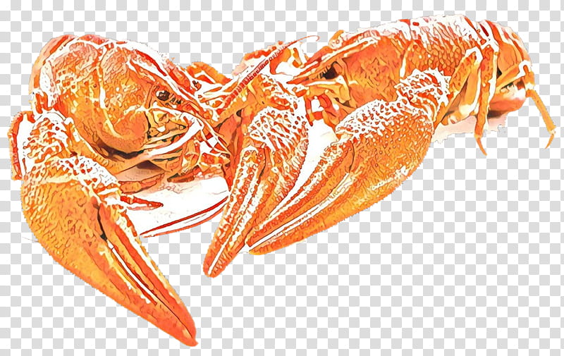 litopenaeus setiferus shrimp botan shrimp dendrobranchiata lobster, Caridean Shrimp, Seafood, Crayfish, Scampi transparent background PNG clipart