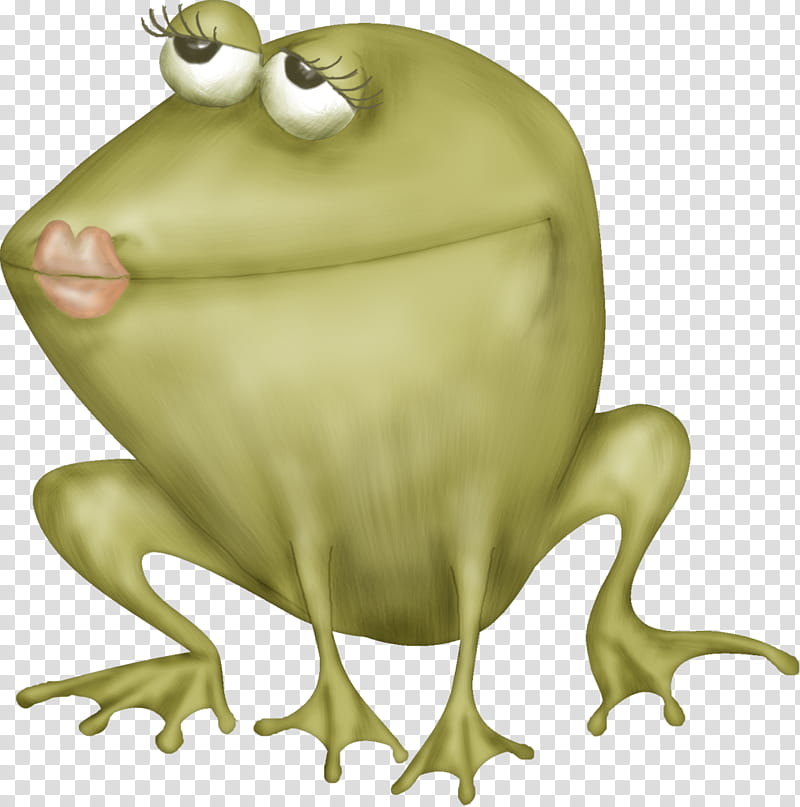 Frog, Frog And Toad, Frog And Toad Together, Tree Frog, Cane Toad, Cartoon, Jaw, Food transparent background PNG clipart