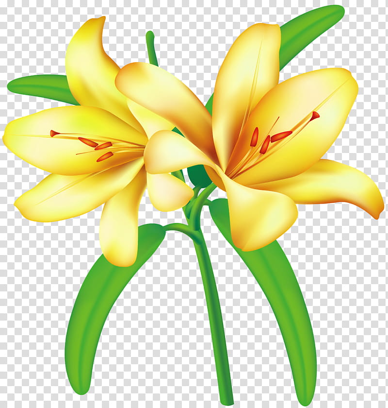 Flores, yellow flower illustration transparent background PNG clipart