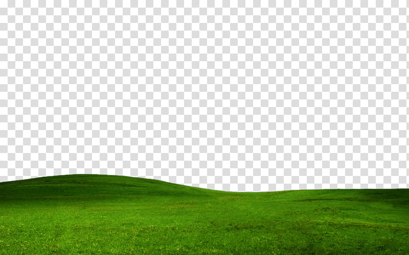 GRASS FILE , green land transparent background PNG clipart