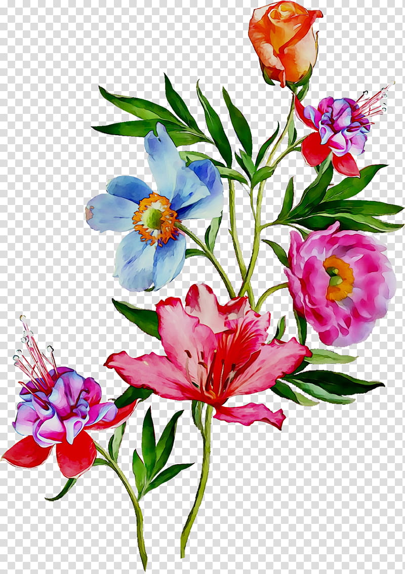 Watercolor Floral, Floral Design, Blouse, Tshirt, Cotton, Cut Flowers, Dress, Rose transparent background PNG clipart