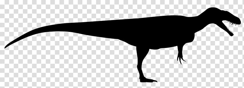 Dinosaur, Megalosaurus, Torvosaurus, Silhouette, Eustreptospondylus, Afrovenator, Beak, Blackandwhite transparent background PNG clipart