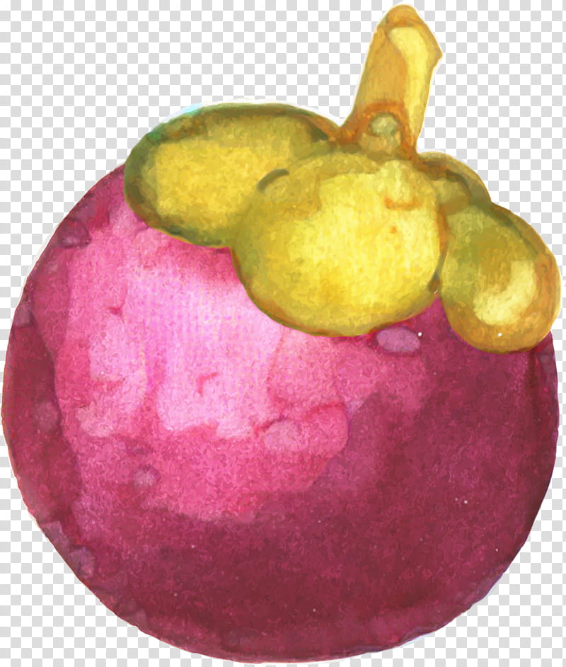 Watercolor Plant, Mangosteen, Apple, Purple Mangosteen, Fruit, Turnip, Food, Watercolor Paint transparent background PNG clipart