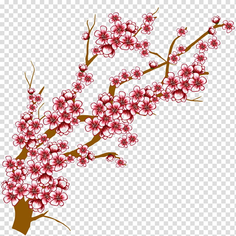 Cherry Blossom Tree Drawing, Cherries, Flower, Plant, Branch, Pink, Spring
, Pedicel transparent background PNG clipart