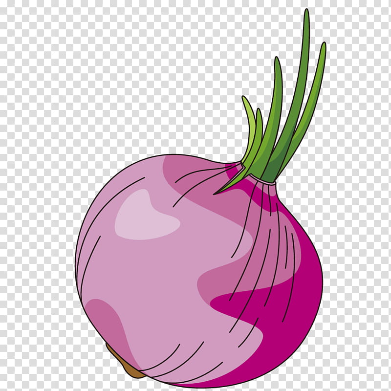 cartoon purple onion