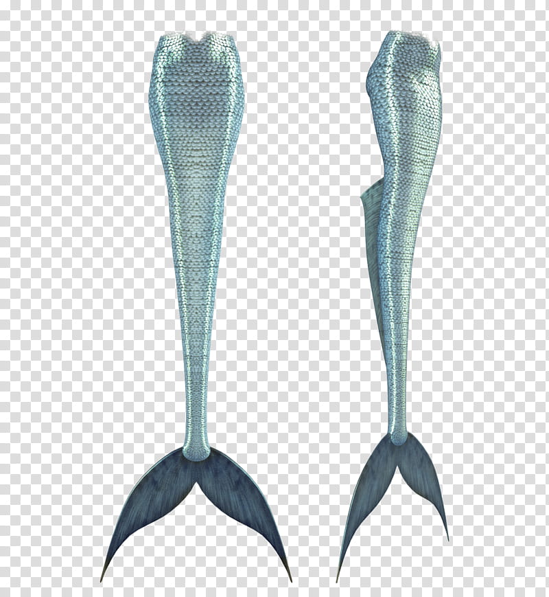 UNRESTRICTED Mermaid Tails , two gray fish tails illustration transparent background PNG clipart