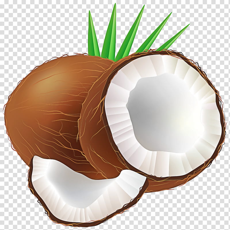 Palm Trees, Coconut Water, Coconut Milk, Coconut Candy, Fruit, Drawing, Coconut Crab, Plant transparent background PNG clipart