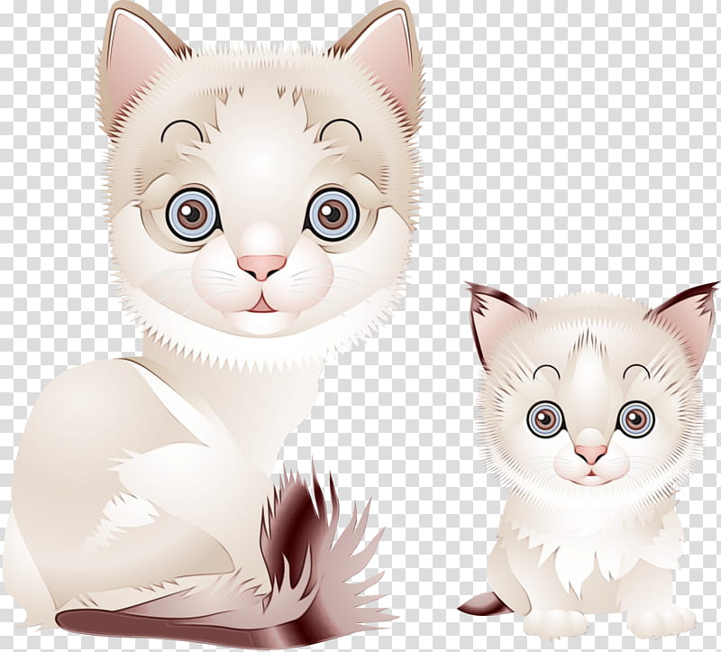 Cats, Kitten, Persian Cat, Animal, Cuteness, Cartoon, Small To Mediumsized Cats, White transparent background PNG clipart