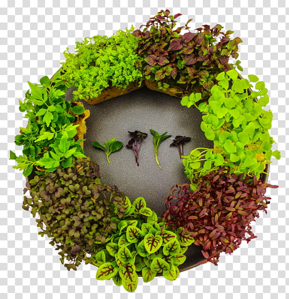Flower Wreath, Microgreen, Plant, Bird Nest, Moss, Bird Supply, Aquarium Decor transparent background PNG clipart