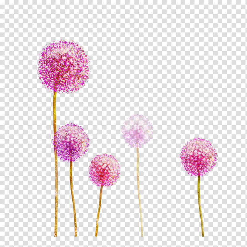 Artificial flower, Pink, Plant, Pompom, Magenta transparent background PNG clipart