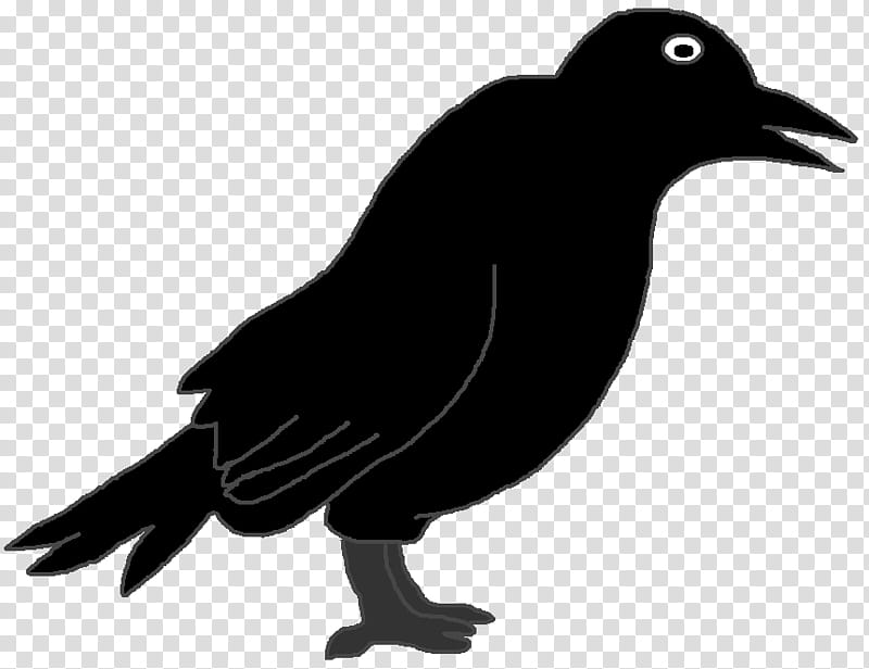 Bird Silhouette, Crow, Common Raven, Drawing, House Crow, Beak, Fish Crow, Blackbird transparent background PNG clipart