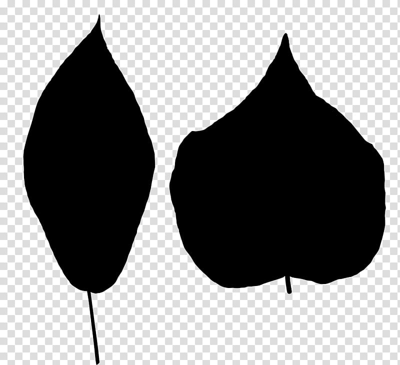Leaf Silhouette, Tree, Black M, White, Blackandwhite, Plant, Rays And Skates, Tulip transparent background PNG clipart