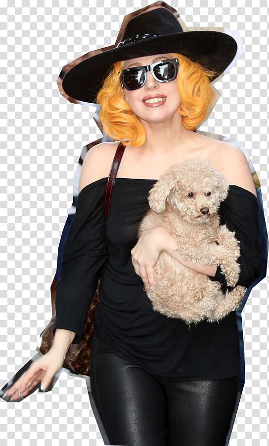 Lady Gaga en Viena Austria transparent background PNG clipart