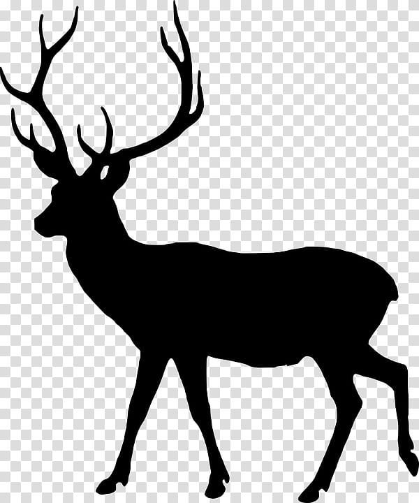 Book Silhouette, Deer, Kaibab Plateau, Chart, Elk, Reindeer, White, Antler transparent background PNG clipart