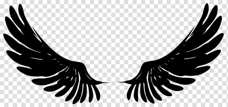 Heart Logo, Decal, Sticker, Wing, Eyelash, Bird, Necklace, Blackandwhite transparent background PNG clipart