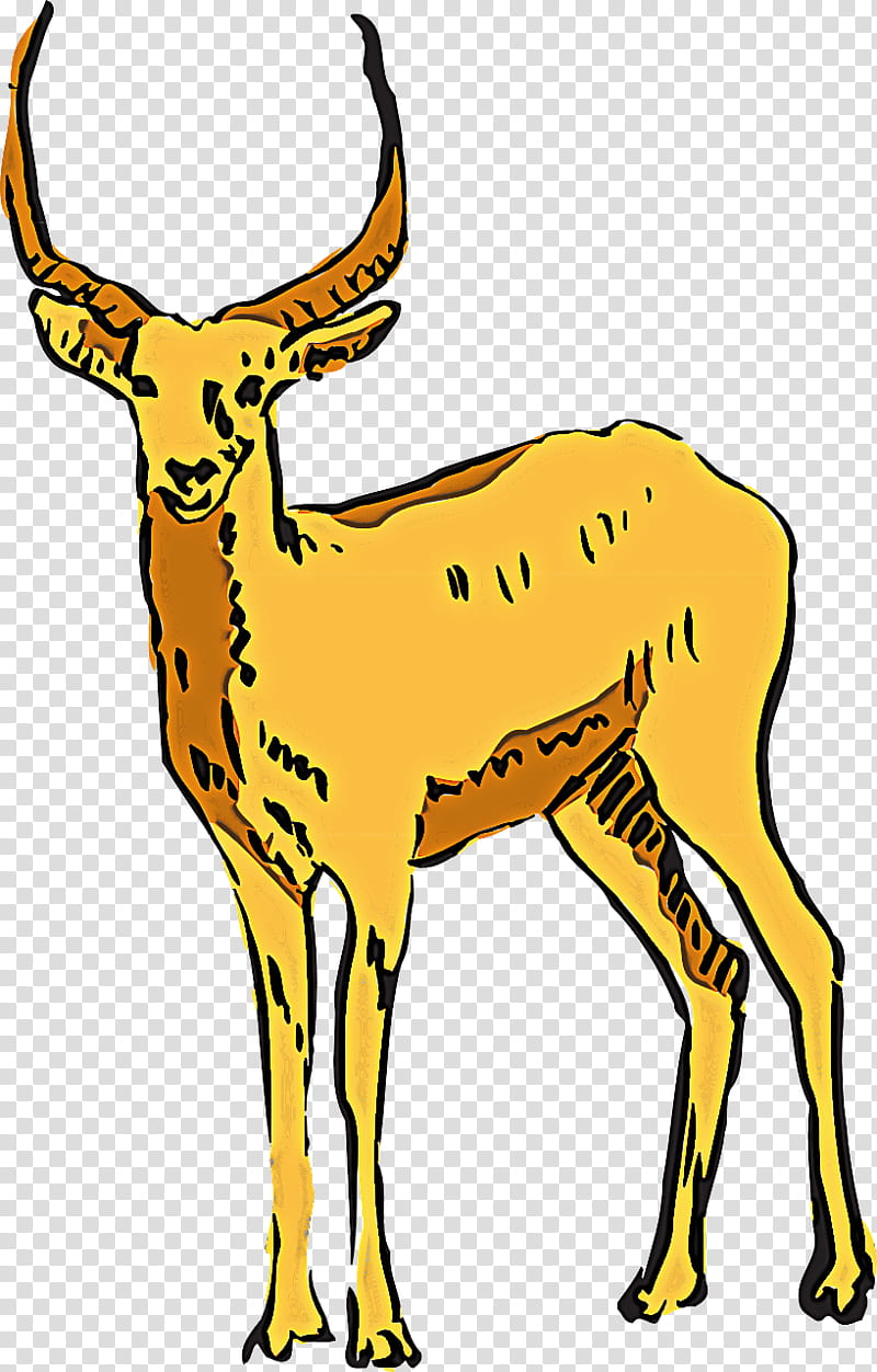 wildlife antelope deer chamois cow-goat family, Cowgoat Family, Roe Deer transparent background PNG clipart