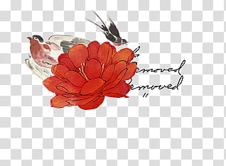 mixed s, red flower with birds transparent background PNG clipart