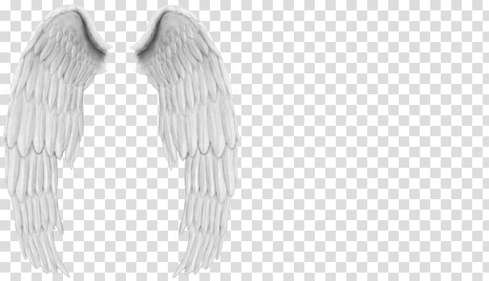 Animal, Blog, Painting, Angel, Wing, Line Art, Actor, Demon transparent background PNG clipart