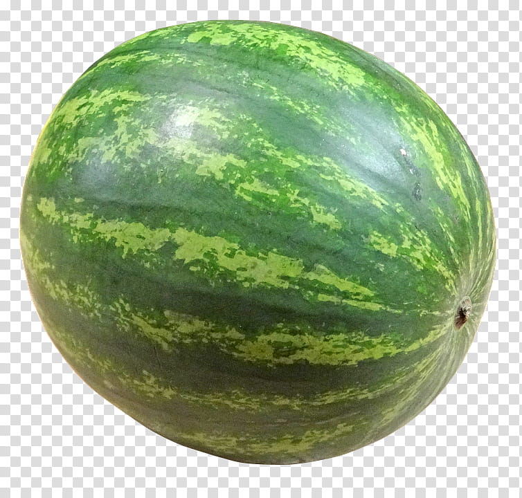 Fruit, green watermelon fruit illustration transparent background PNG clipart